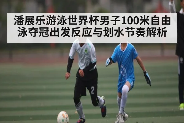 潘展乐游泳世界杯男子100米自由泳夺冠出发反应与划水节奏解析